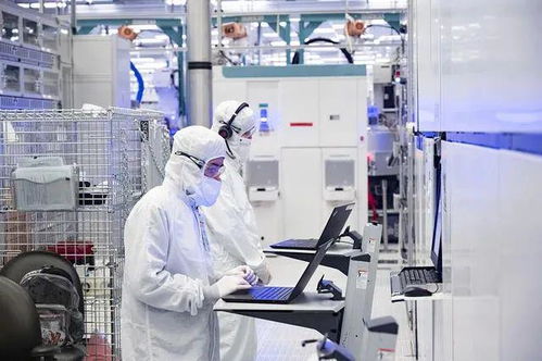 沒有移民，美國工業復興只是做夢——信息技術咨詢服務的視角