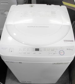 日本洗滌用品與熨斗購買全攻略 代購、價格與二手市場分析