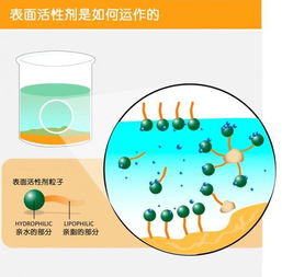 潔凈肌膚第一步 科學(xué)潔面與潔面產(chǎn)品選擇全攻略
